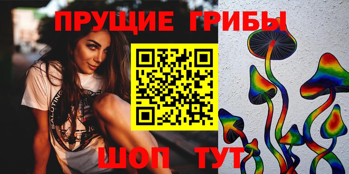 купить  сайты  Вход с VPN  Назрань  Псилоцибиновые грибы Cubensis 
