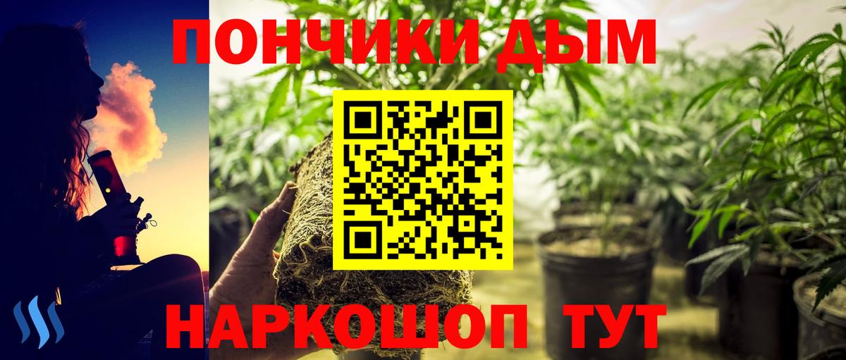 Канабис сатива  Бошки марихуана White Widow  Вход с VPN  МАРИХУАНА семена  Назрань 